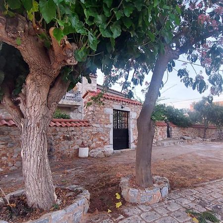 200 Year Old 'Kamara Suite' With Private Garden Pírgos Dhiroú Buitenkant foto